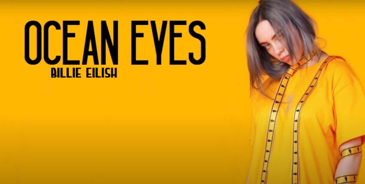 Pakistani Billie Eilish's Lookalike Raisa Raisani ! 7 Billie Eilish Ocean Eyes Song