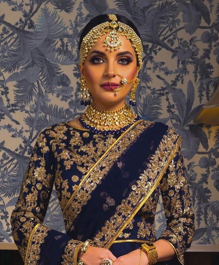 Armeena Rana Khan Model
