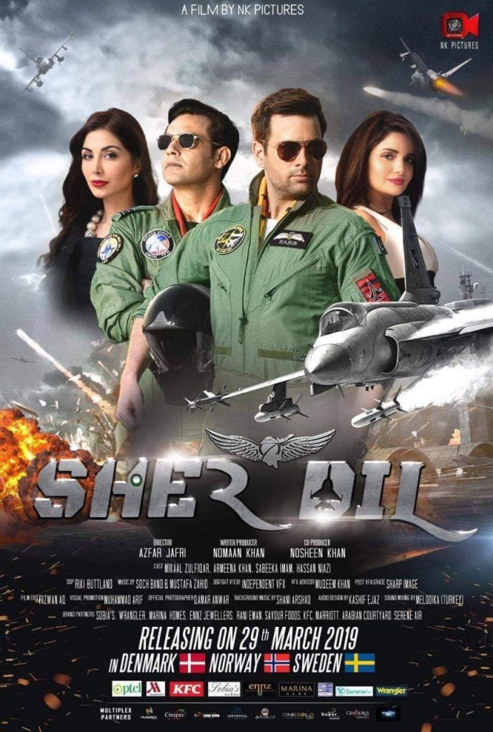 Pakistani Movies on Netflix Sherdil
