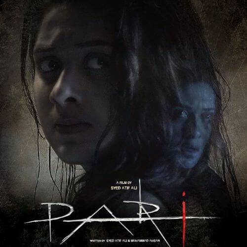 Pari Pakistani Movie on Netflix